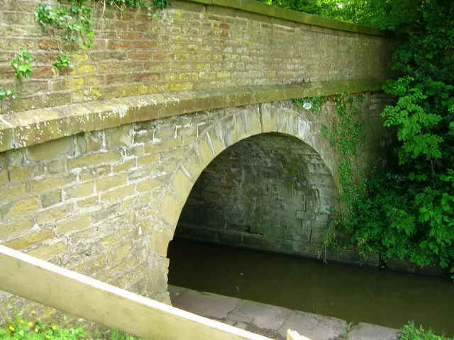 Springbank Lane