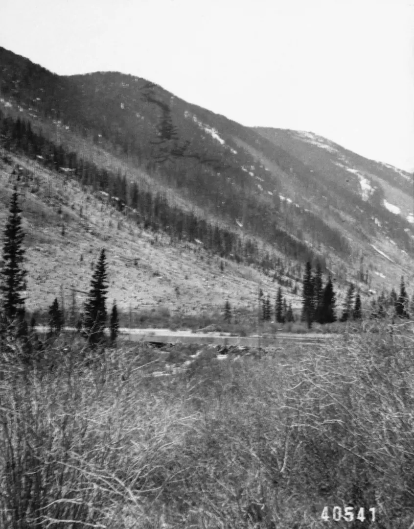 North Fork South Platte River