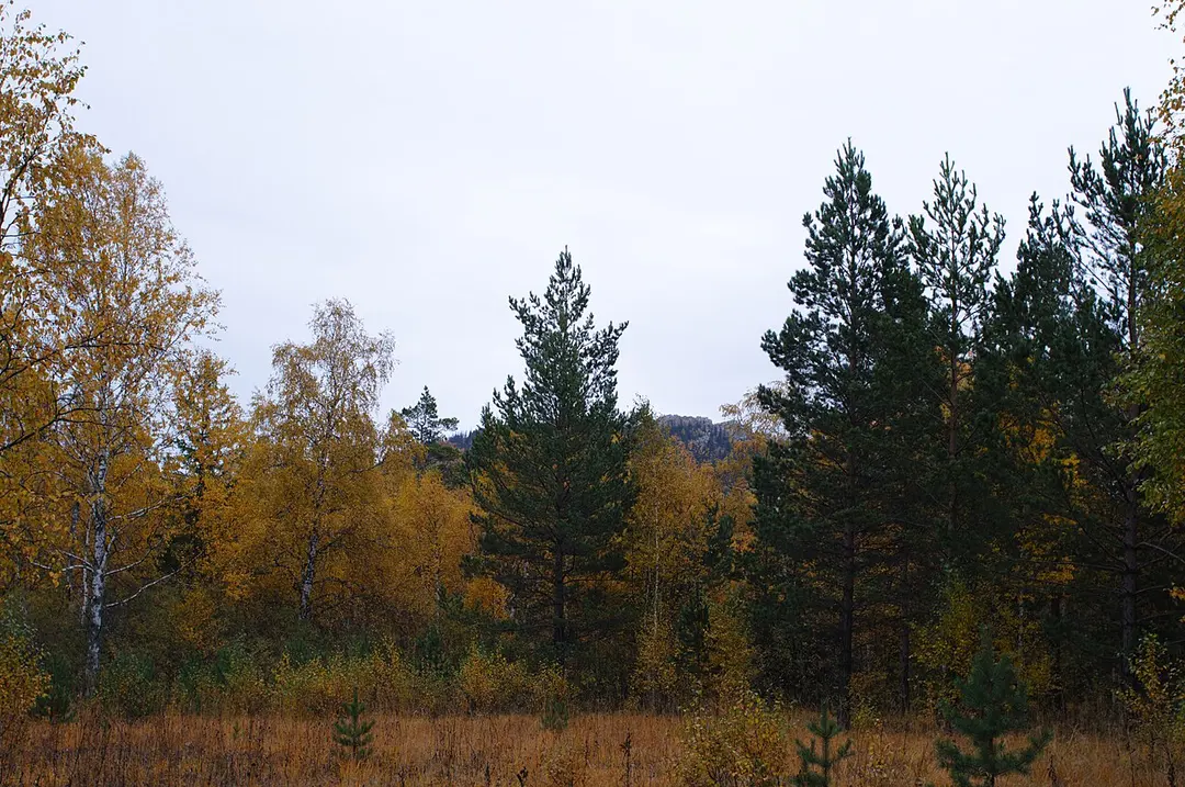 Aleksandrovskaya Sopka