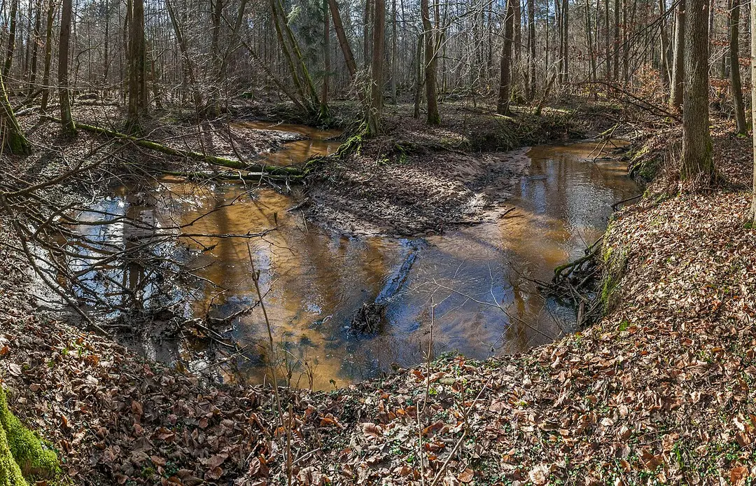 Gründlach östlich Heroldsberg