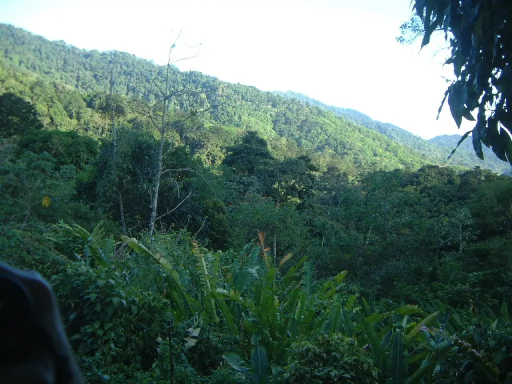 Asa Wright Nature Centre