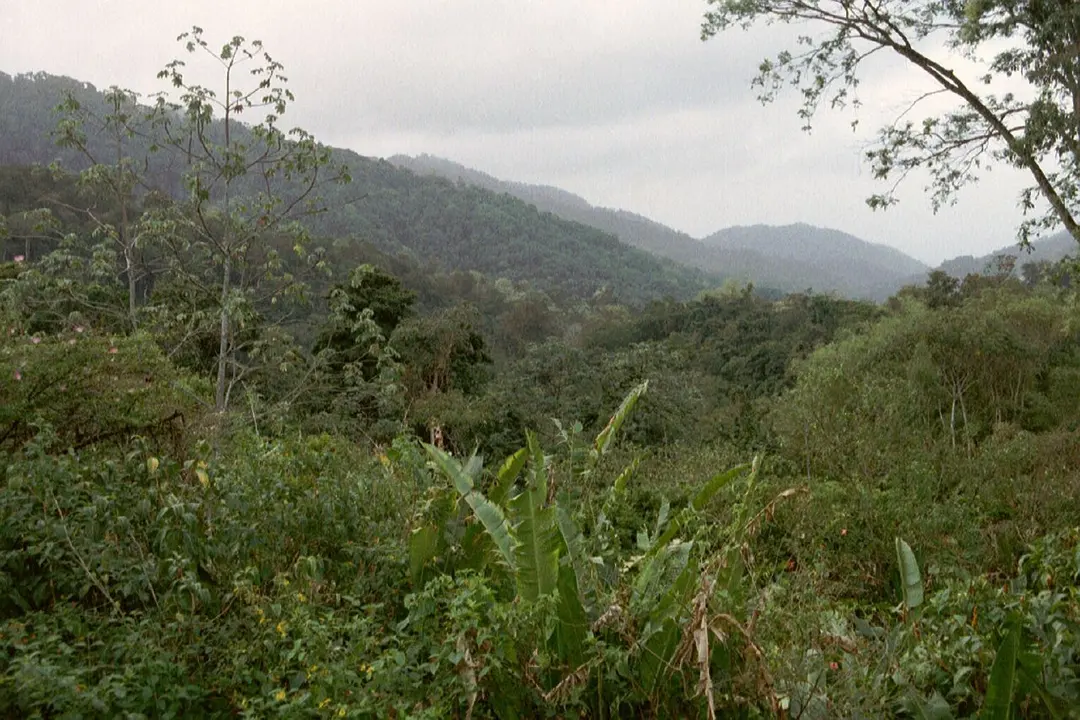 Asa Wright Nature Centre