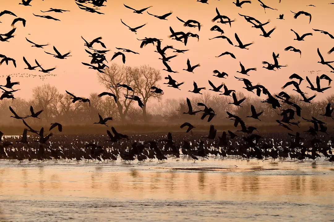 Platte River