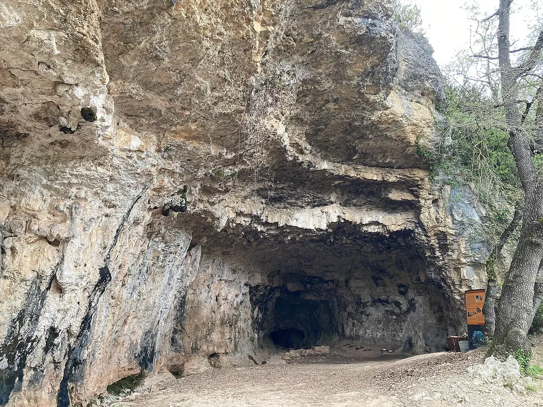 Cova del Toll