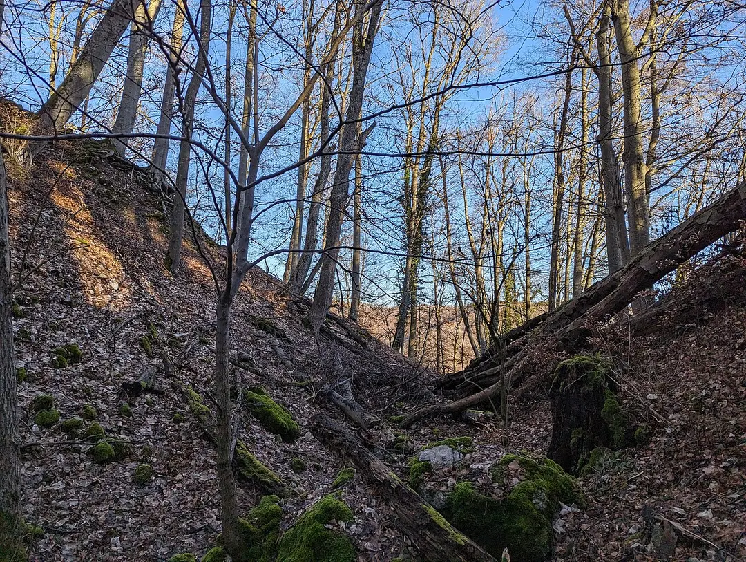 Ruine Leimburg