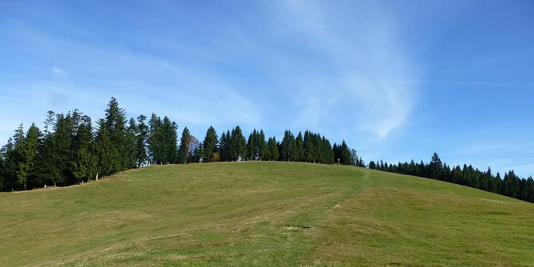 Geißkopf