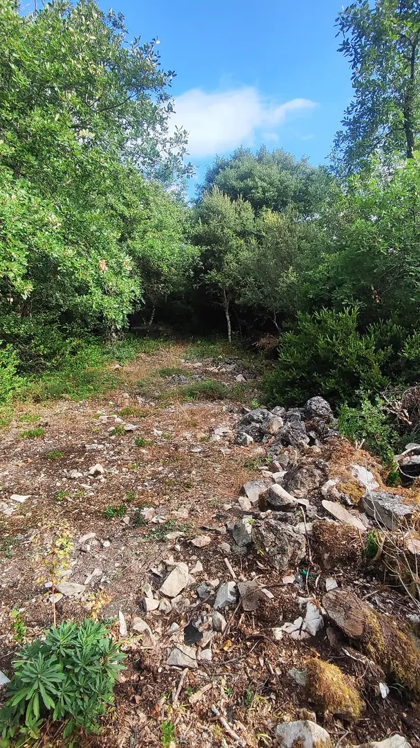 hillfort in Cividad