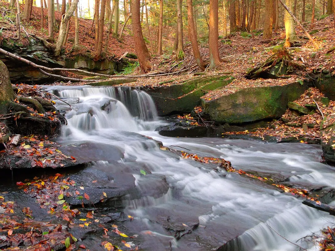 Maurice K. Goddard State Park