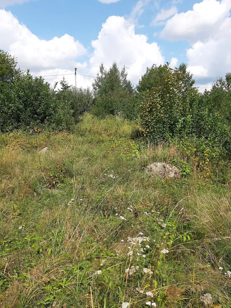 Могілкі габрэйскія