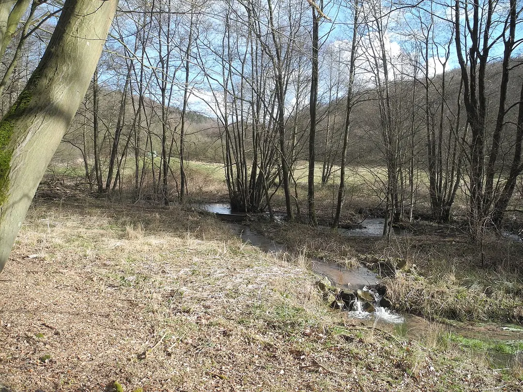 Oberes Niestetal