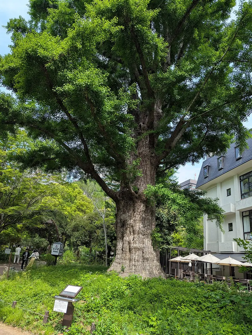Hibiya Park