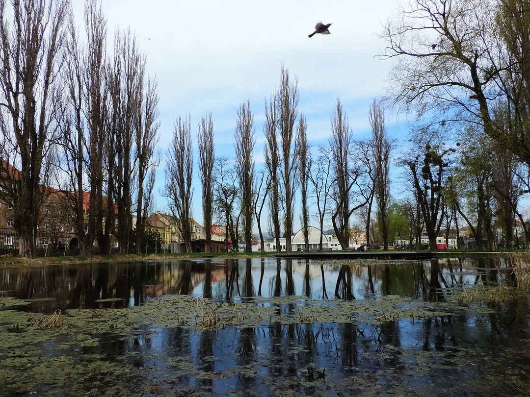 Stadtpark