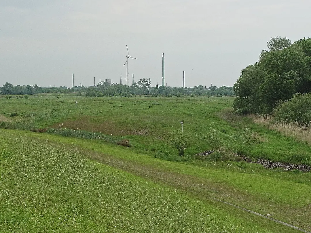 Auenlandschaft Norderelbe