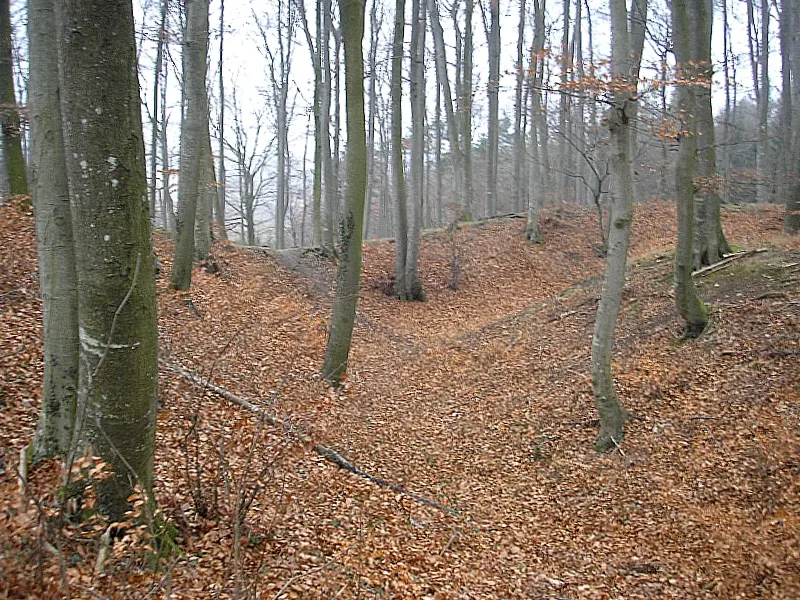 Burgstall Purk