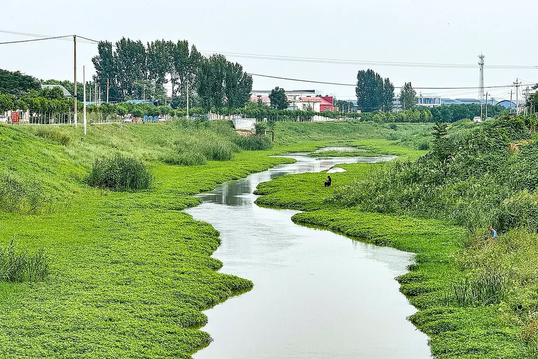 Wei River