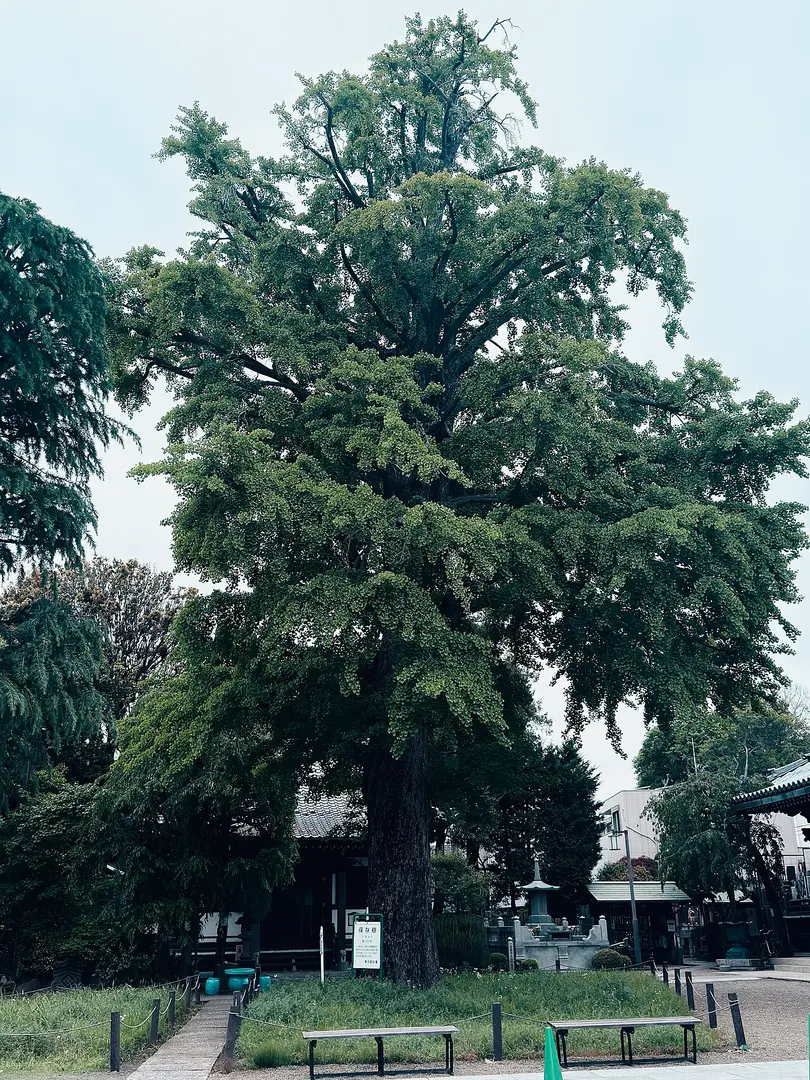 常圓寺