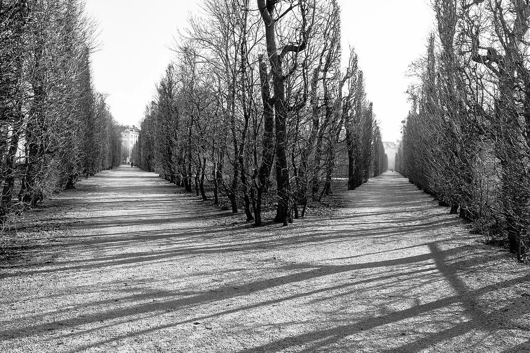 Augarten