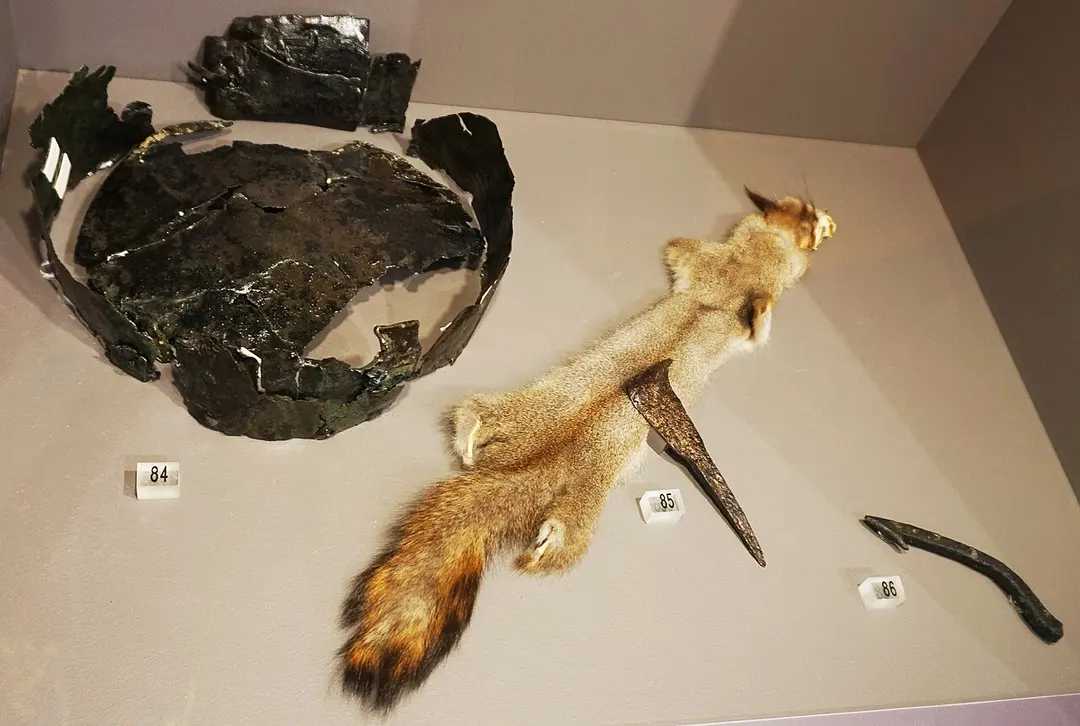 Museum Centre Vapriikki