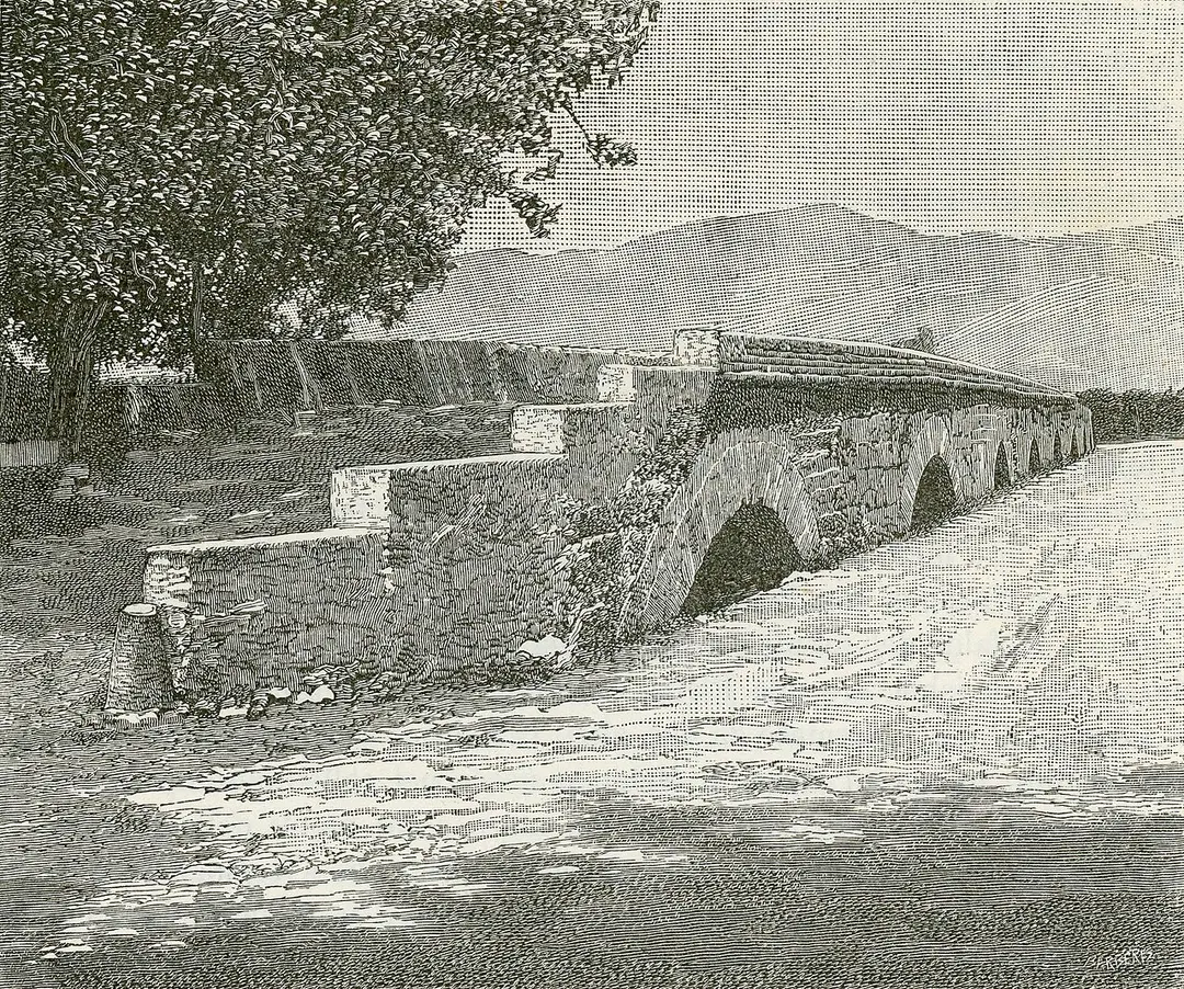 Pontelungo