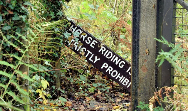 Belvoir Park Forest