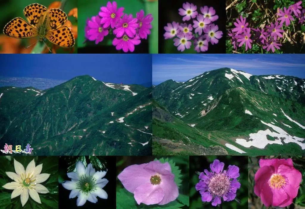 Mt. Asahi