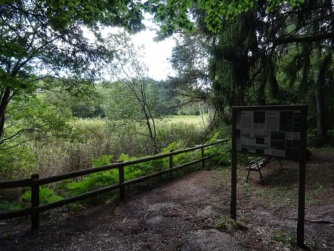 Biotop Fennberger See