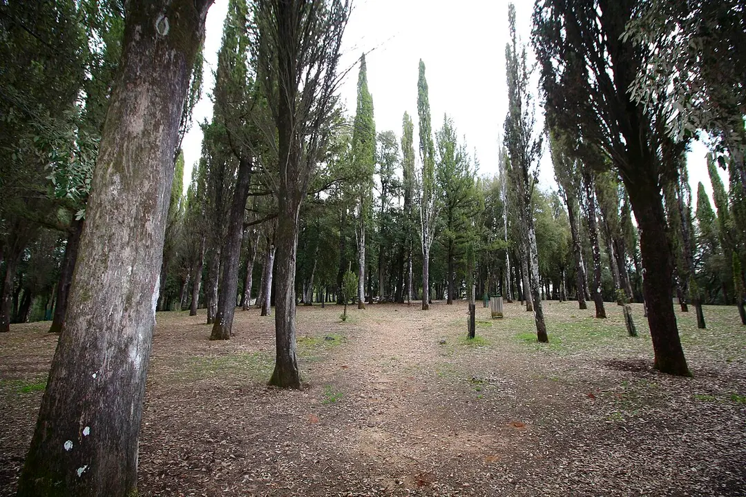 Parco il Tondo