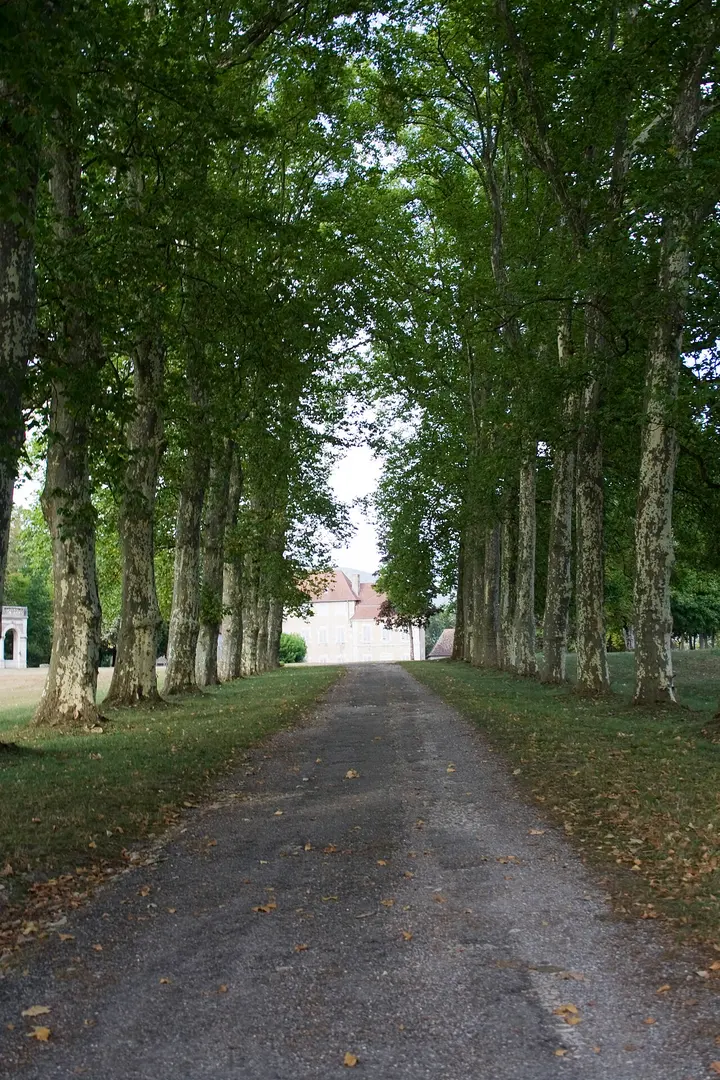 Château de Brangues