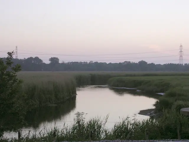 Lower Test Nature Reserve