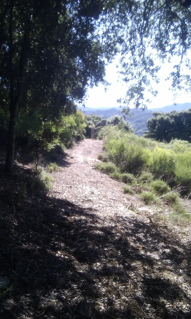 San’Petru di Panicala