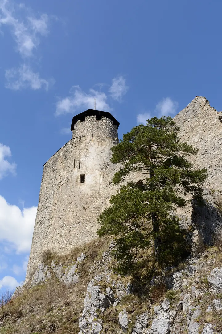 Araburg