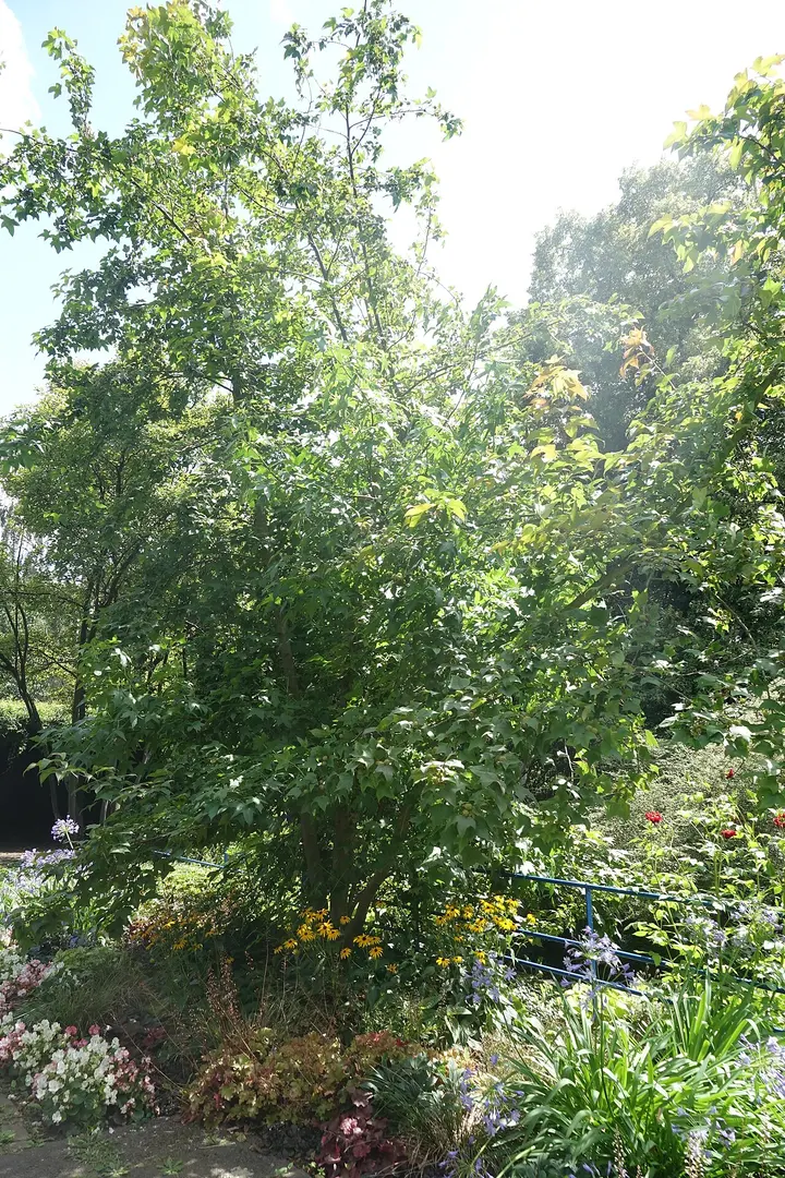Botanischer Garten der Stadt Neuss