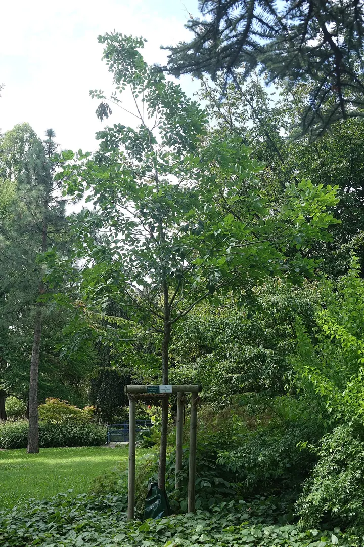 Botanischer Garten der Stadt Neuss