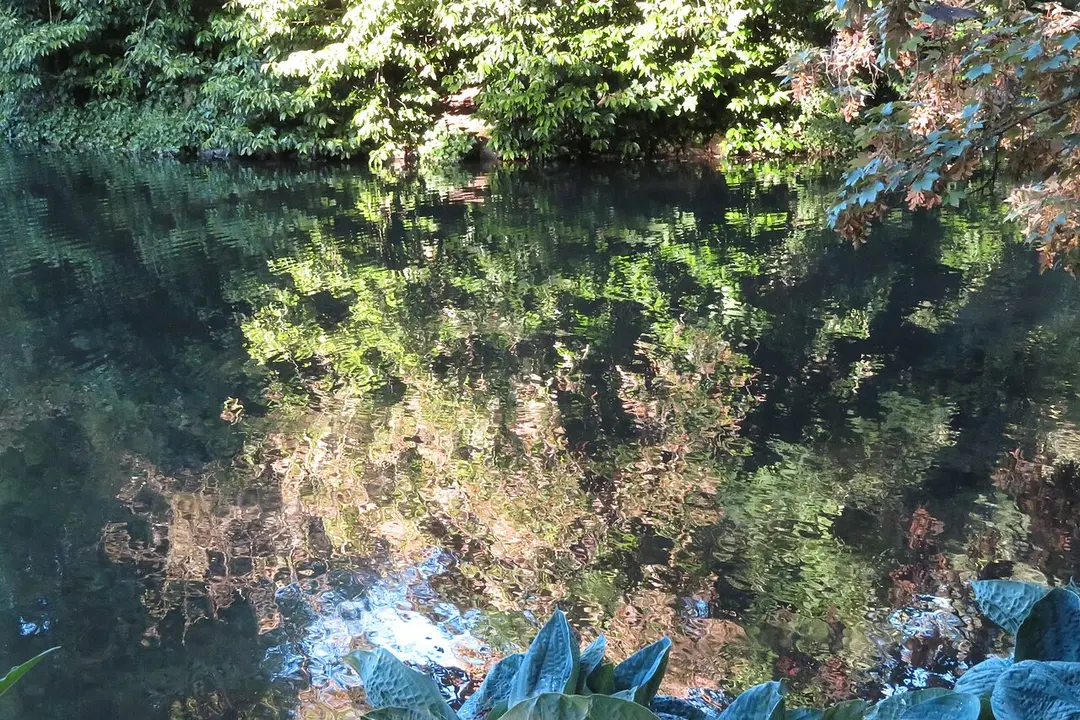 Beacon Hill Park