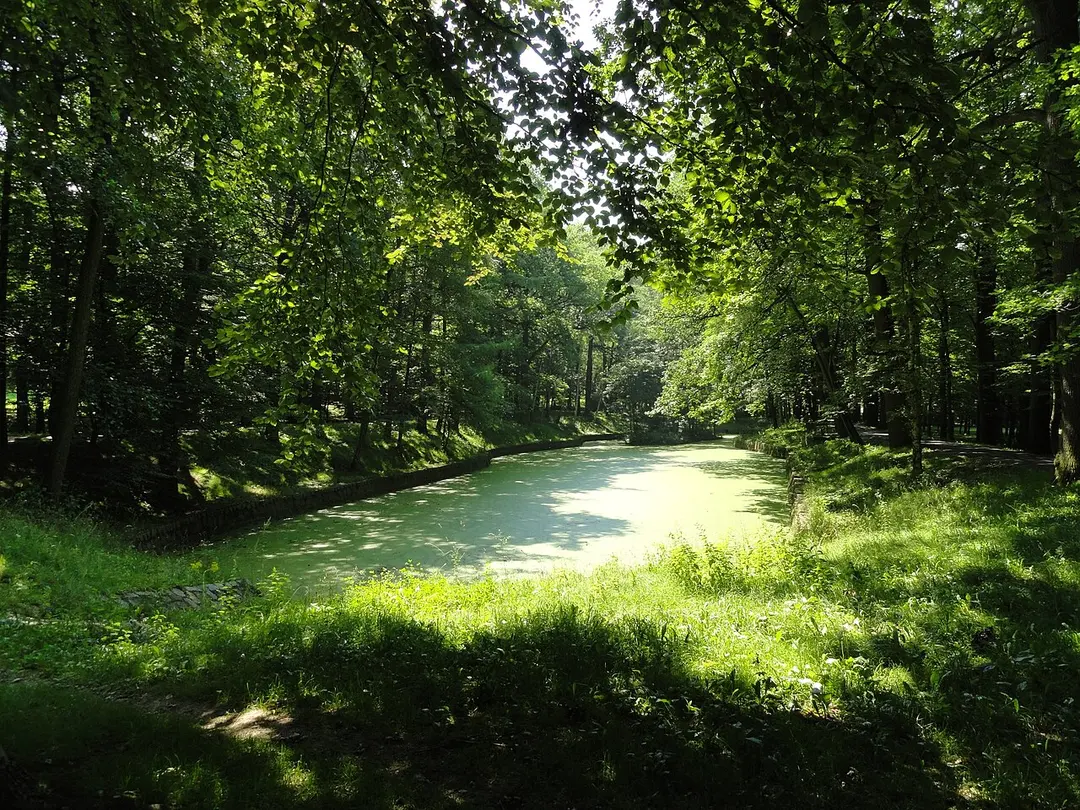 Park Andrzeja Błachańca