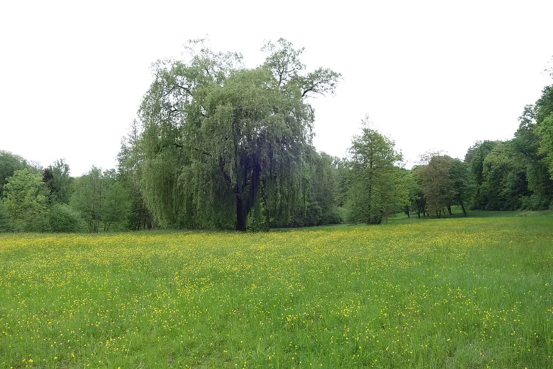 Kleiner Kraichbach