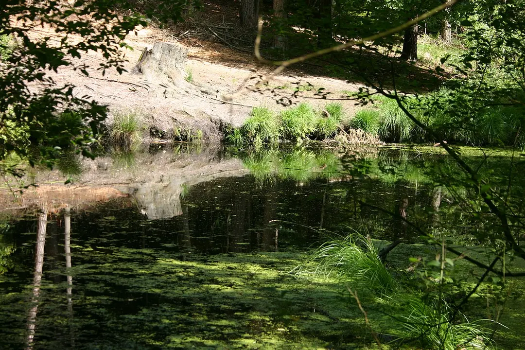 Quellen am Stoppelberg