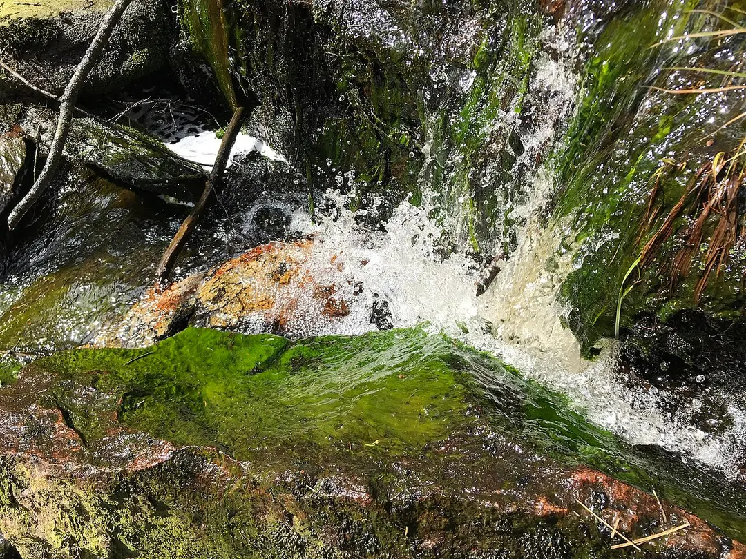 Klippans naturreservat