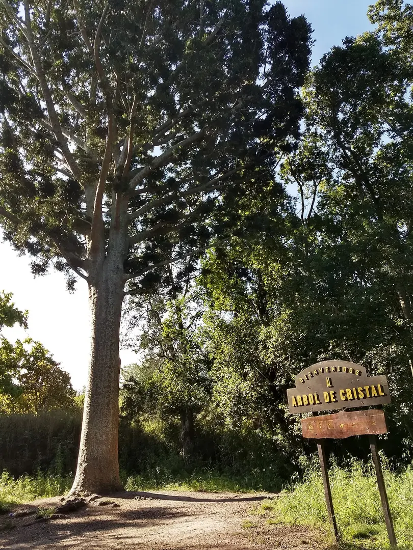 Parque Pereyra Iraola
