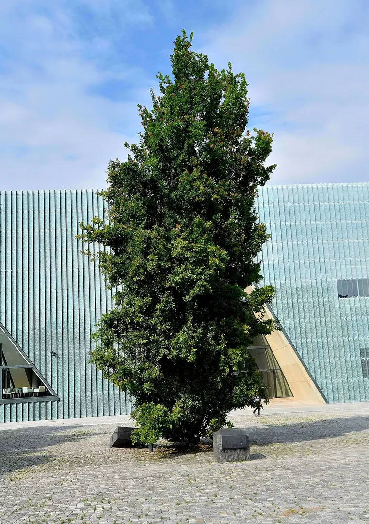 Żegota Monument in Warsaw