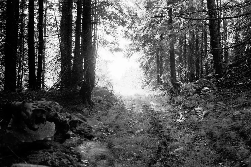 Slereboåns dalgångs naturreservat