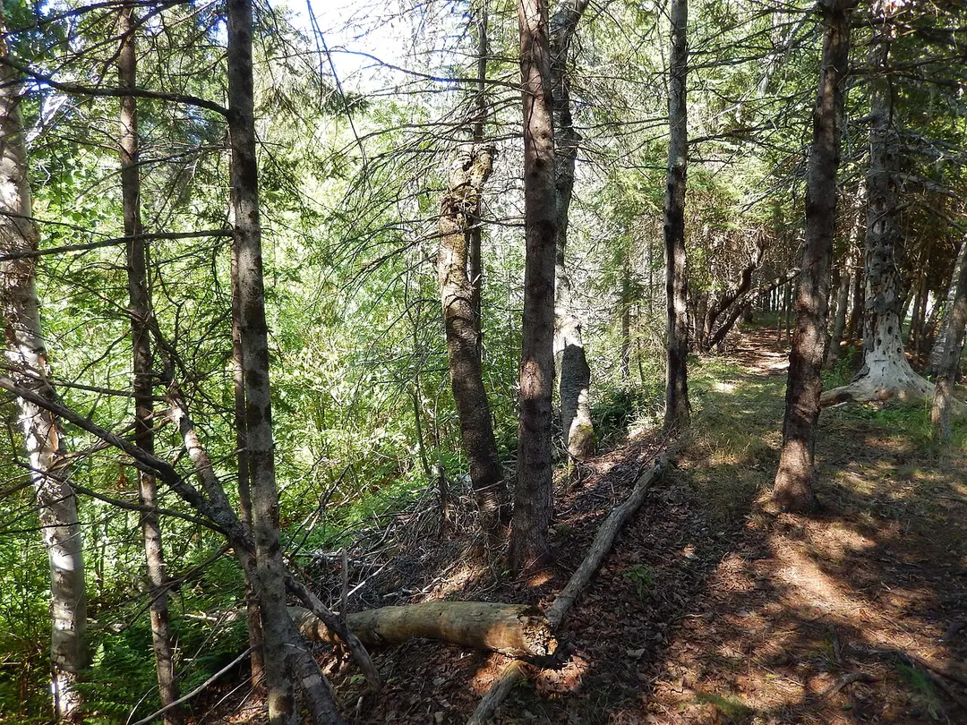 Tidnish Dock Provincial Park