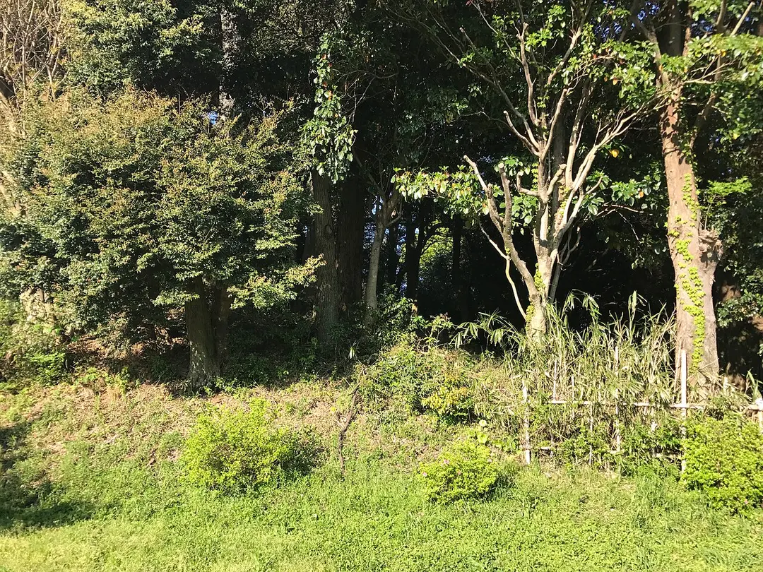 田代太田古墳