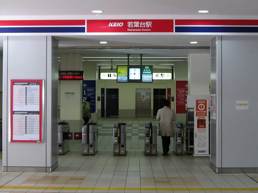 Wakabadai