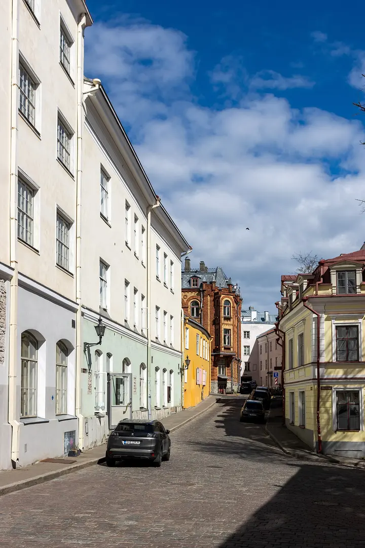 Sulevimägi