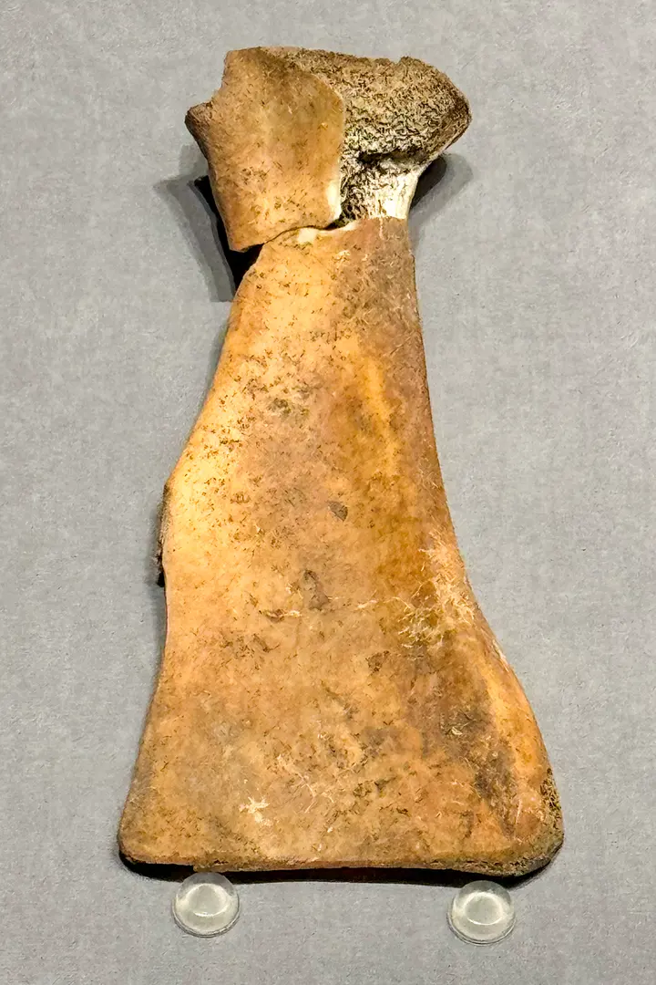 Xinzhai