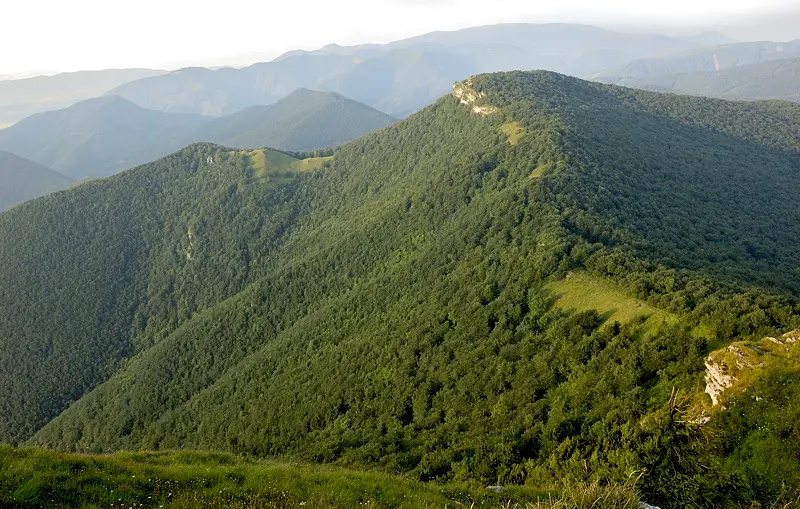 Ostrá skala