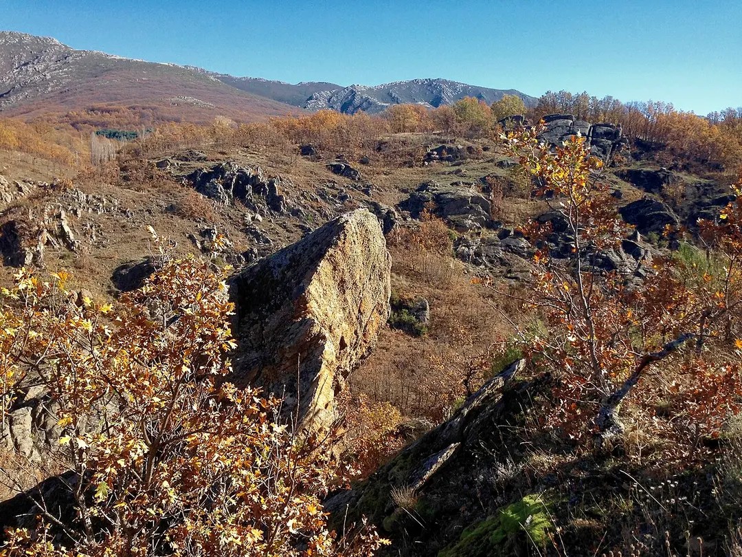 Riaza River