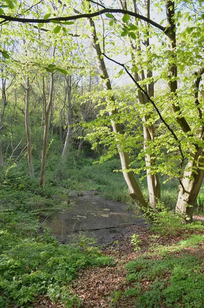 Mühlbachtal von Bergen-Enkheim