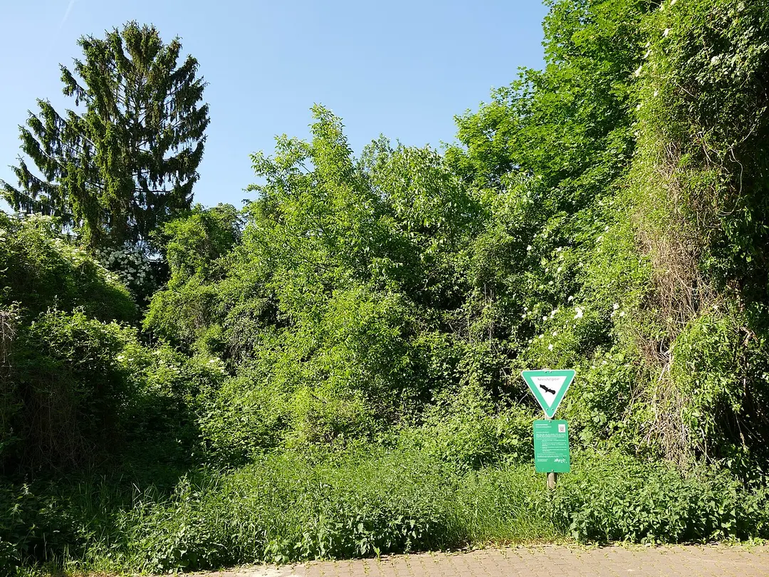 Mühlbachtal von Bergen-Enkheim